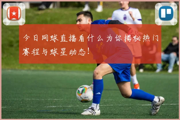 今日网球直播看什么为你揭秘热门赛程与球星动态！
