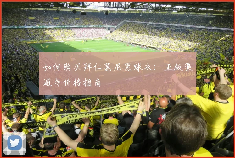 如何购买拜仁慕尼黑球衣：正版渠道与价格指南